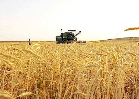 مطالبات گندم کاران کردستانی به زودی پرداخت می‌شود