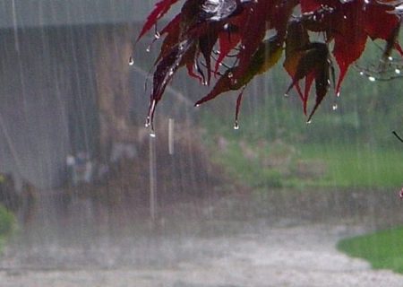 بارش در کردستان ۱۴ درصد افزایش یافت