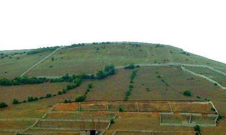 ۲۵ درصد اراضی کشاورزی کردستان رفع تداخل شده است