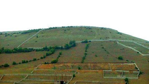 ۲۵ درصد اراضی کشاورزی کردستان رفع تداخل شده است