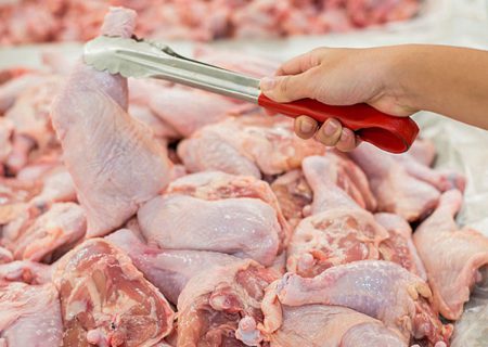 ظرفیت تولید گوشت مرغ در کردستان ماهانه سه هزار و ۳۵۰ تن است