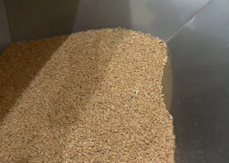 گندم با کیفیت خارجی وارد کردستان می‌شود