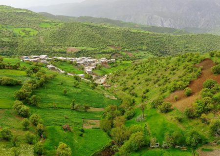 ۱۵ هزار هکتار به ذخیرگاه‌های جنگلی کردستان افزوده شد