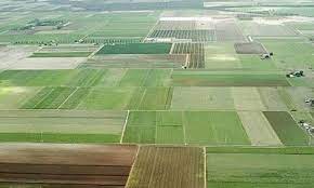 رفع تداخل ۵۴۴ هزار هکتار از اراضی کشاورزی کردستان