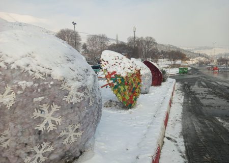 از ممنوعیت تردد در جاده ها بدون زنجیر چرخ تا تعطیلی مدارس با بارش برف در کردستان