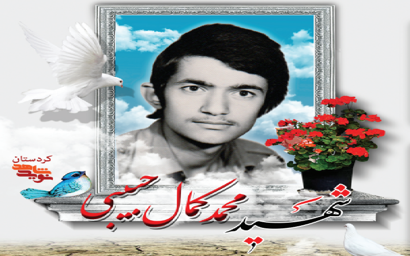 آرزوی شهادت در وصیتنامه شهید محمد کمال حبیبی