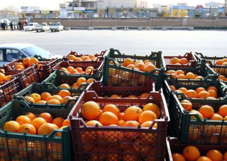 ۳۰ میلیارد ریال برای خرید میوه شب عید در کردستان پرداخت شد