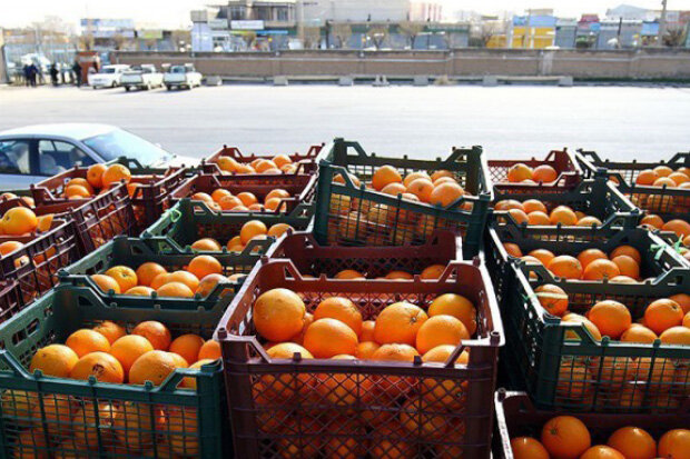 ۳۰ میلیارد ریال برای خرید میوه شب عید در کردستان پرداخت شد