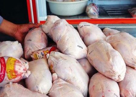 مرغ منجمد در کردستان ارزان شد/ انجام ۴ میلیون قطعه جوجه ریزی برای بازار عید