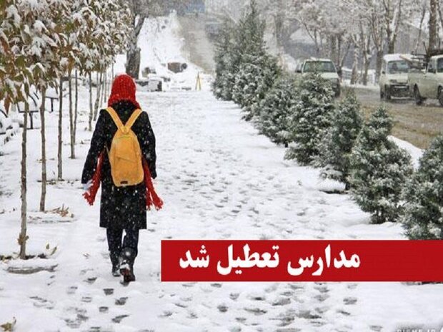 تعطیلی برخی مدارس استان کردستان به دلیلی برودت هوا و بارش برف