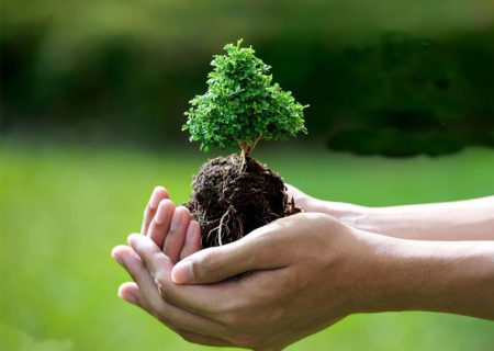 کاشت ۴ هزار نهال همزمان با هفته درختکاری در شهرستان دهگلان