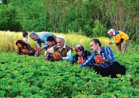 کشاورزی کردستان بر ریل پیشرفت + فیلم