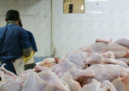 تکذیب اخبار منتشر شده در ارتباط با کمبود گوشت مرغ و گوسفندی در بازار/ آغاز توزیع مرغ منجمد در کردستان از امروز