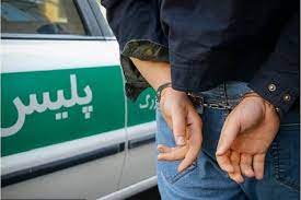 بازداشت سارق حرفه‌ای کامیاران با ۷ فقره سرقت