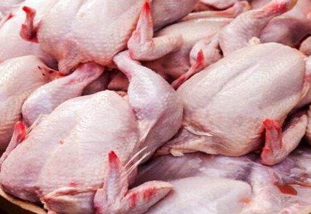 بازار مرغ چرا به‌هم ریخت؟/ اختلاف قیمت استان با سایر استان‌های همجوار باعث کمبود و قاچاق مرغ شده است