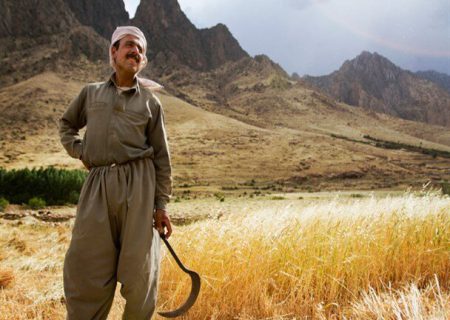 ۴۳ درصد اراضی کشاورزی کُردستان سند‌دار شده‌اند/افزایش ۲ برابری ظرفیت سردخانه ای استان