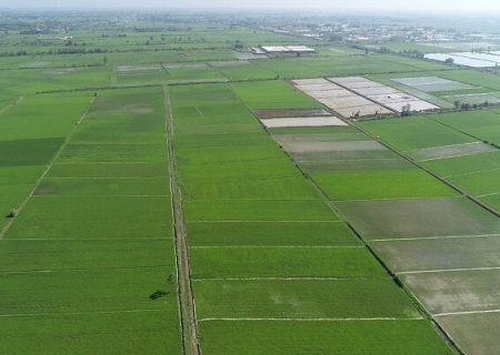 ضرورت اجرای کامل تثبیت اراضی کشاورزی کردستان تا پایان سال جاری
