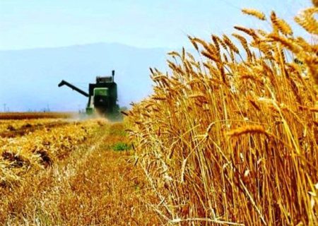 فریاد کشاورزان دهگلانی از قطعی برق/انتقاد شدید از مدیر عامل برق کردستان
