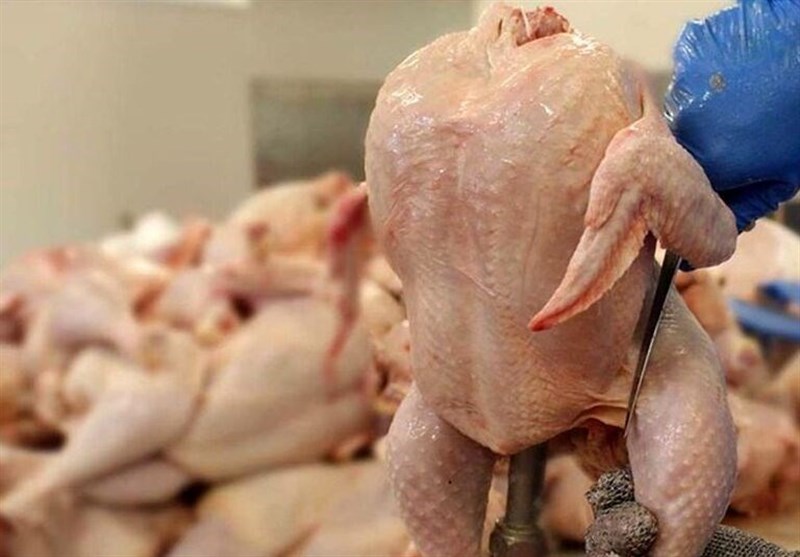 پلمب مراکز عرضه غیربهداشتی مرغ در استان کردستان