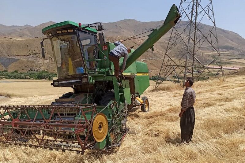 کاهش قیمت خرید تضمینی گندم در کردستان صحت ندارد