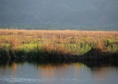 جسد جوان مریوانی پس از ۲۳ روز در دریاچه زریوار پیدا شد