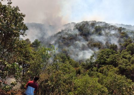 یک فروند بالگرد برای مهار آتش‌سوزی به جنگل‌های شمال غرب اعزام شد