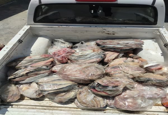 ضبط بیش از ۴۰۰ کیلوگرم مرغ و ماهی فاسد در سنندج