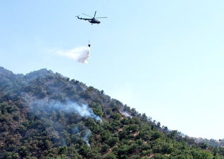 استاندار کردستان: ۲ بالگرد دیگر برای اطفای آتش‌سوزی جنگل‌های مریوان اعزام می‌شود