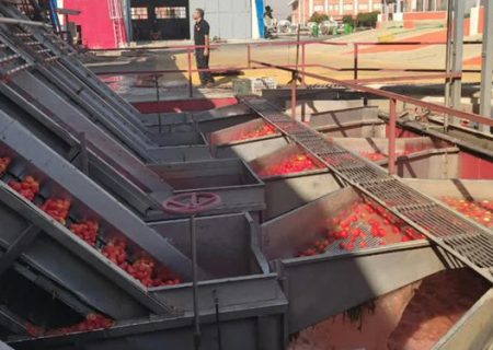 بزرگترین کارخانه فرآوری گوجه‌فرنگی ایران در کامیاران احداث می‌شود