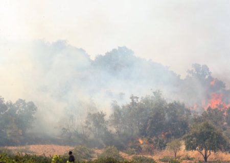 آتش‌سوزی جنگل‌های مریوان پیگیری قضایی می‌شود