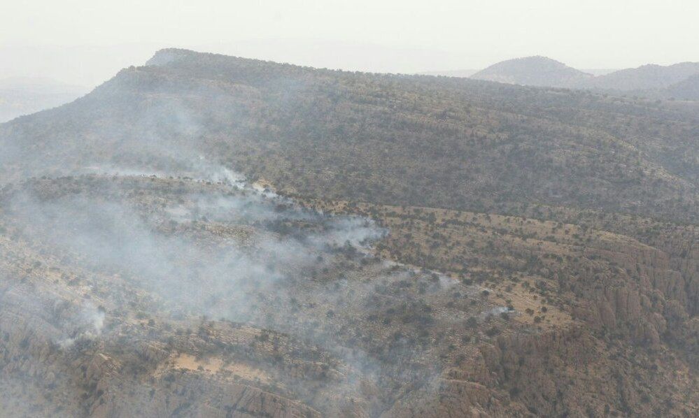 شناسایی و دستگیری ۱۴ نفر از عاملان آتش‌سوزی جنگل‌های مریوان/ ۶۲ درصد از پهنه استان را جنگل و عرصه‌های طبیعی تشکیل می‌دهد