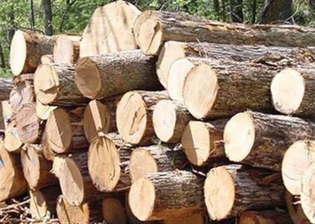۳۴ تن چوب قاچاق در کردستان کشف شد