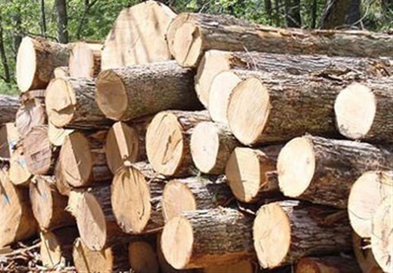 ۳۴ تن چوب قاچاق در کردستان کشف شد