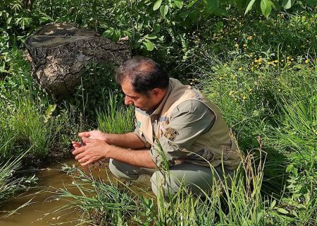تدوین راهکارهای عملیاتی برای حفاظت از تنوع زیستی در کردستان ضروری است