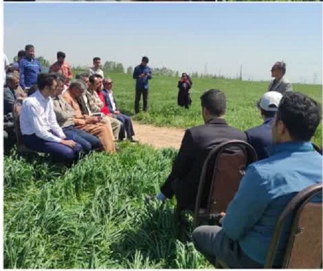 ۸۰ کاروان ترویجی الگوی کشت کشاورزی عازم روستاهای کردستان شد