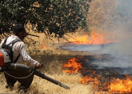 بیش از سه هزار هکتار عرصه‌ طبیعی در کردستان دچار آتش‌سوزی شد
