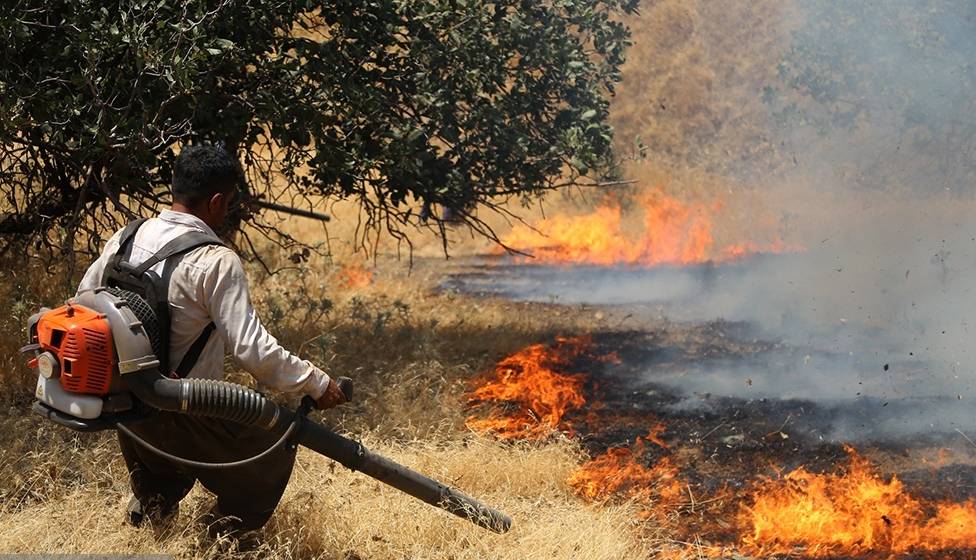 بیش از سه هزار هکتار عرصه‌ طبیعی در کردستان دچار آتش‌سوزی شد