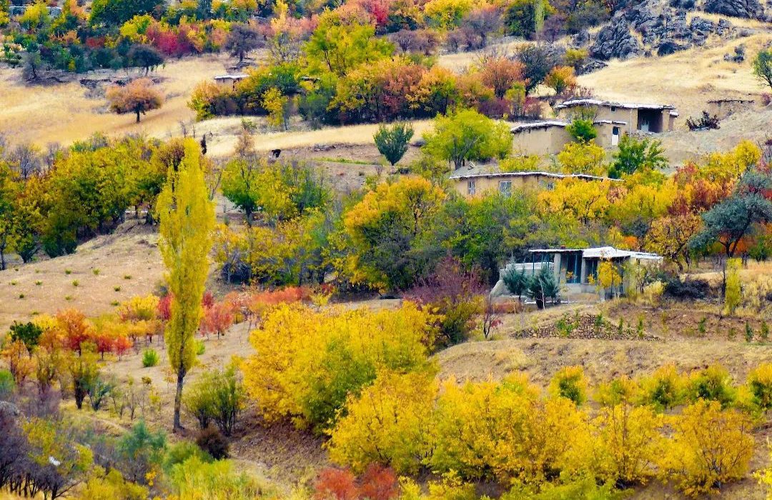 پاییز رنگارنگ در کردستان