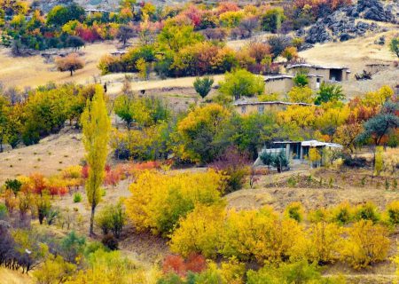 پاییز رنگارنگ در کردستان