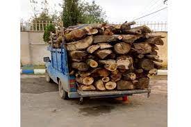 ۲ محموله قاچاق چوب در شهرستان دیواندره کشف شد