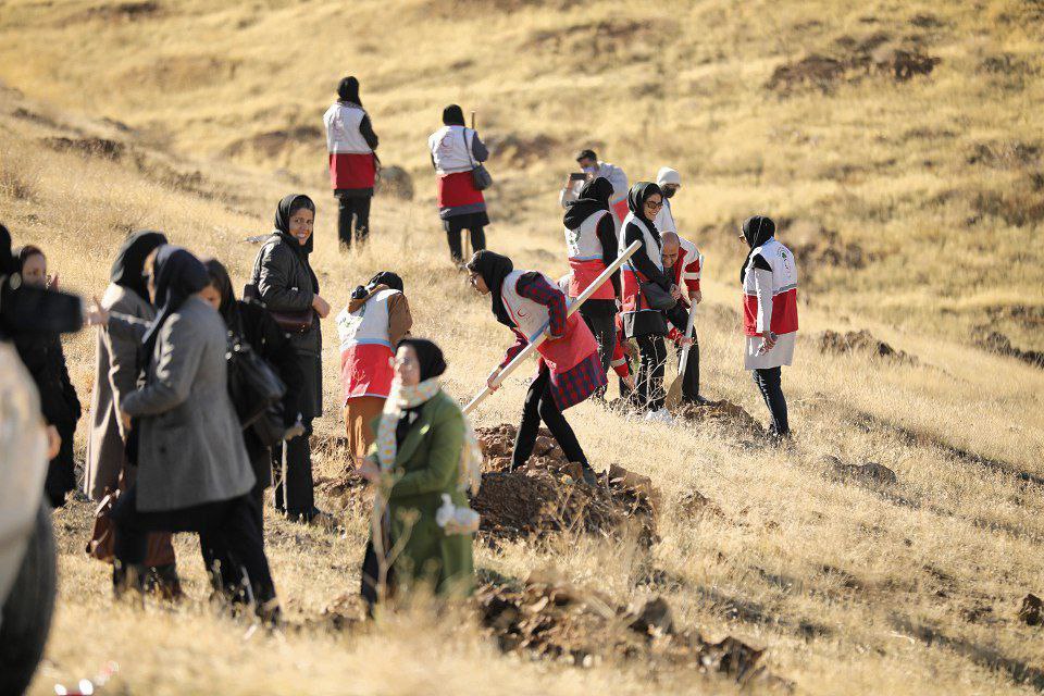 مشارکت عمومی در طرح کاشت ۱۲ میلیون اصله درخت در کردستان