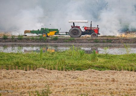 ۷۵ درصد اراضی کشاورزی کردستان تا پایان سال جاری رفع تداخل می‌شوند