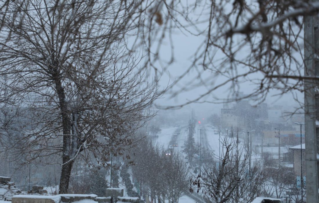 بارش برف در آخرین ماه زمستان سنندج را سفیدپوش کرد+ عکس و فیلم