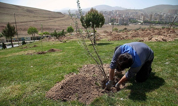 طرح کاشت نهال توسط جامعه کار و تولید کردستان آغاز شد