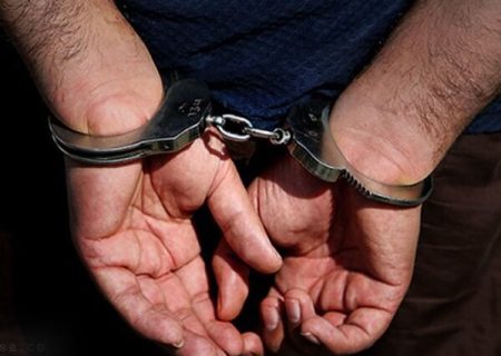 دستگیری ۱۵ سارق سابقه‌دار کردستان