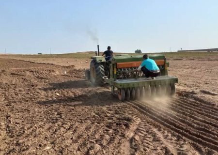۷۲۳ هزار هکتار از اراضی کردستان زیر کشت محصولات زراعی رفت