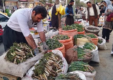 بازار گیاهان خوراکی در مریوان