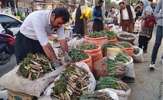 بازار گیاهان خوراکی در مریوان