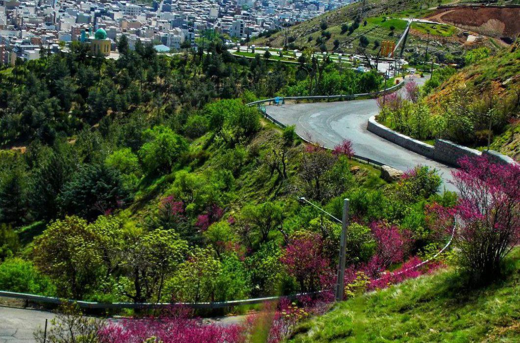 مخمل سبز طبیعت بر جامه بهاری کردستان