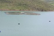 افزایش ۱۰ درصدی حجم آب سدهای کردستان